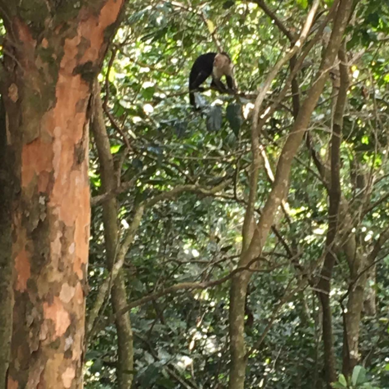 Globi Lodge #2 Monteverde 外观 照片